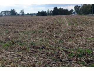 Property photo 100 - EHLE FARMS AUCTION - 118+/- ACRES IN 9 TRACTS IN ALLEN COUNTY, INDIANA
